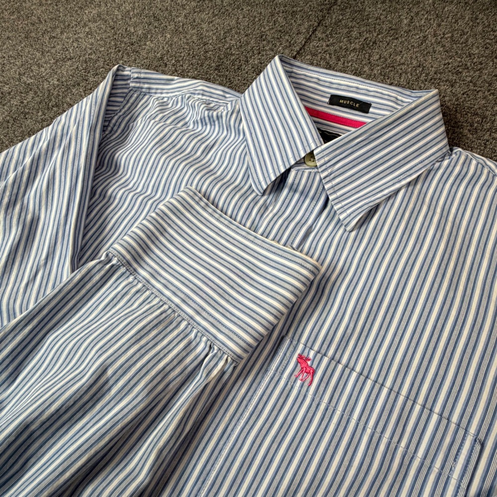 VTG Abercrombie & Fitch Men Large Muscle Fit Stripe Button Down Shirt Blue White